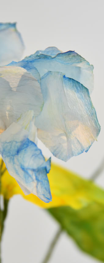 Édition numérotée de photographies par Georges Henz imprimées sur papier aquarelle.