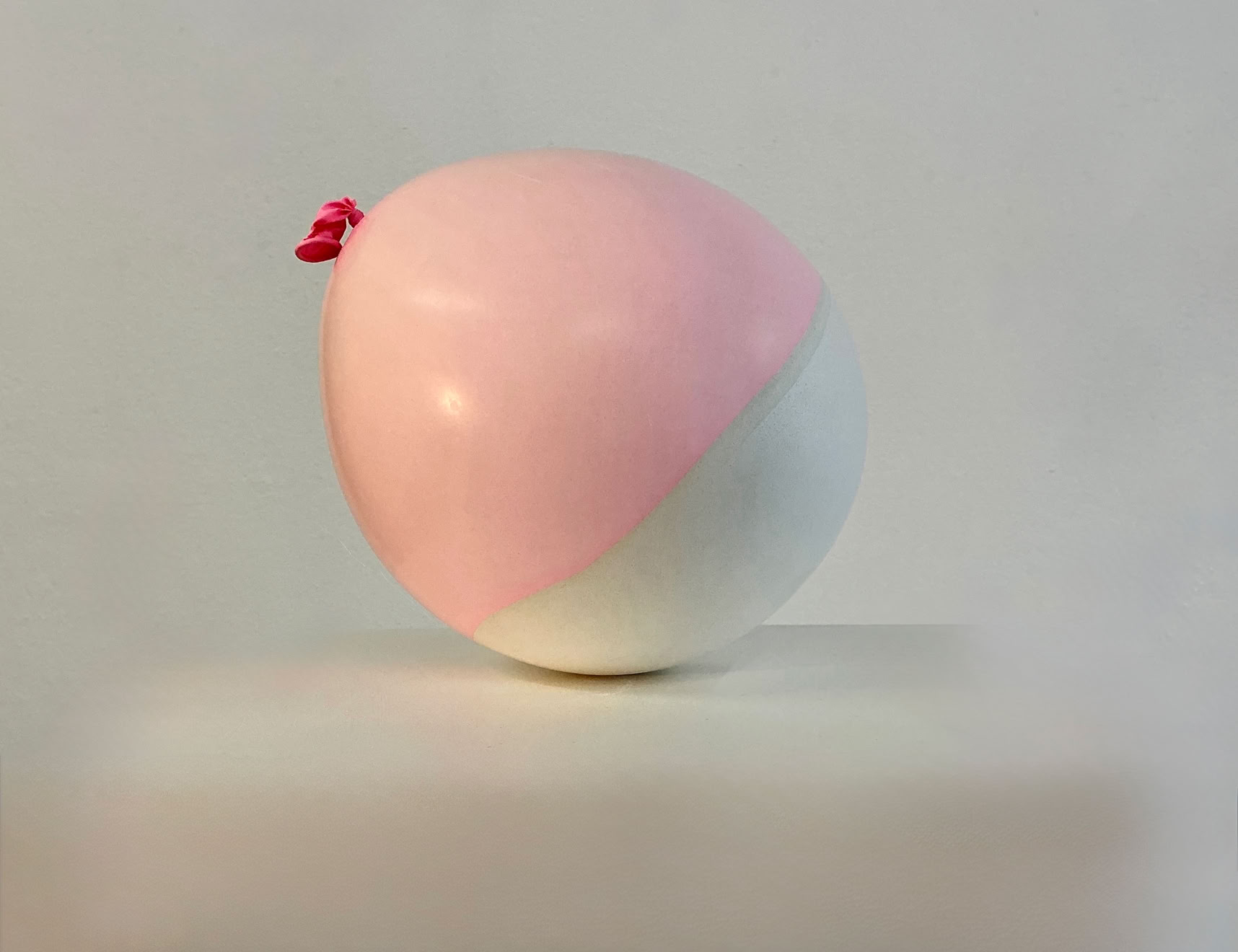 Coquille en plâte et latex