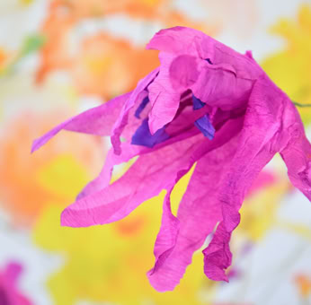 Édition numérotée de photographies par Georges Henz imprimées sur papier aquarelle.