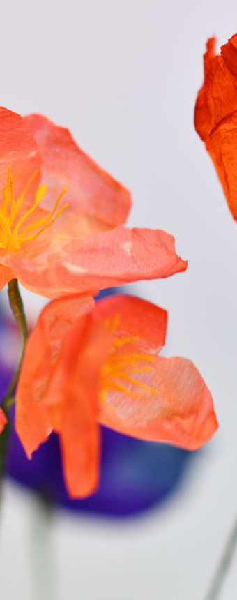 Édition numérotée de photographies par Georges Henz imprimées sur papier aquarelle.