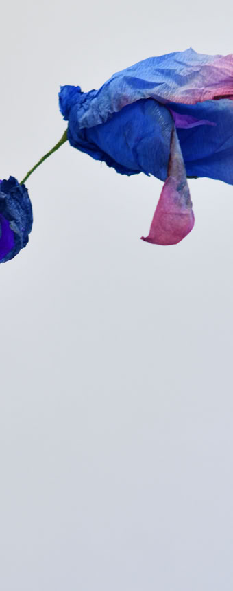 Édition numérotée de photographies par Georges Henz imprimées sur papier aquarelle.