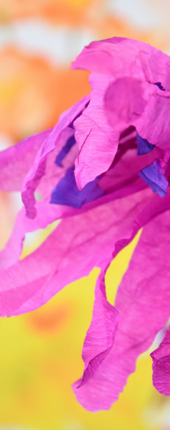 Édition numérotée de photographies par Georges Henz imprimées sur papier aquarelle.