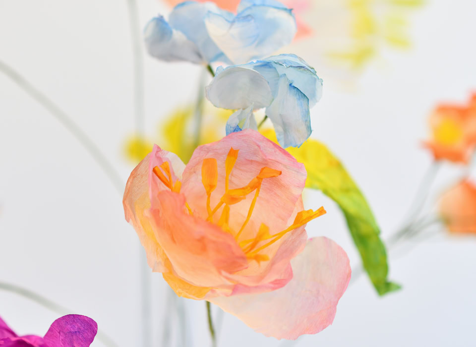 Fleurs colorées en papier avec des pétales roses, bleus et jaunes sur un fond blanc.