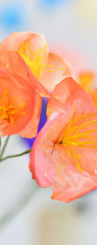 Édition numérotée de photographies par Georges Henz imprimées sur papier aquarelle.