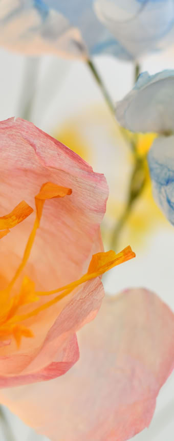 Édition numérotée de photographies par Georges Henz imprimées sur papier aquarelle.