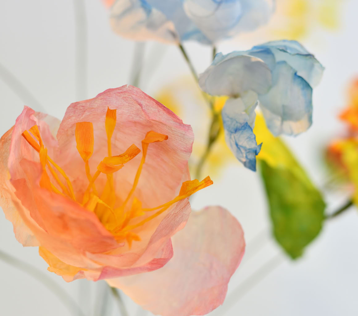 Édition numérotée de photographies par Georges Henz imprimées sur papier aquarelle.