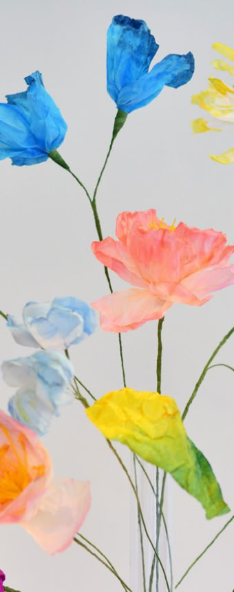 Édition numérotée de photographies par Georges Henz imprimées sur papier aquarelle.